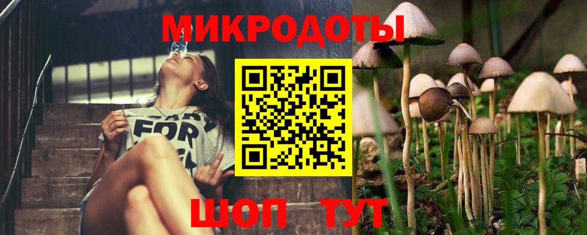 Галлюциногенные грибы Psilocybine cubensis  сколько стоит  Псилоцибиновые грибы Magic Shrooms  Краснодар  Вход с VPN 