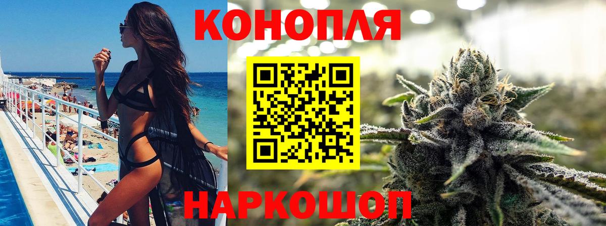 Каннабис план Краснодар